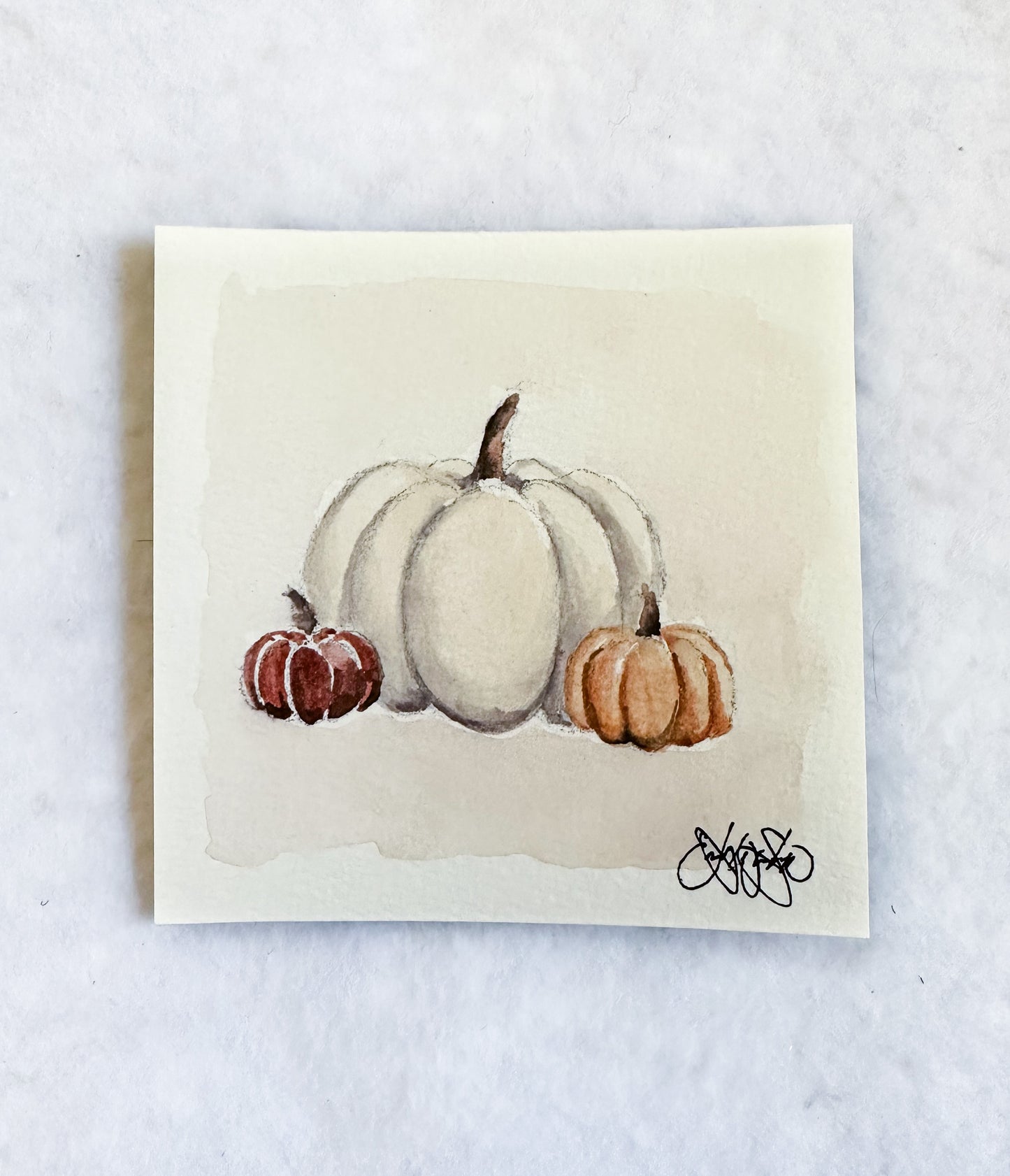 Cozy Fall Collection MINI -  Little Pumpkins